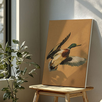 Flying Mallard Duck Canvas Wall Art
