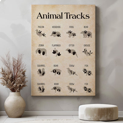 Animal Tracks Wall Art Vintage Animal Footprints Identification Chart