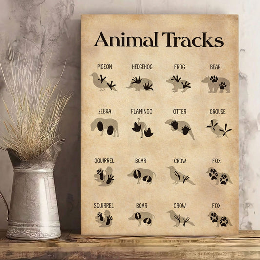 Animal Tracks Wall Art Vintage Animal Footprints Identification Chart