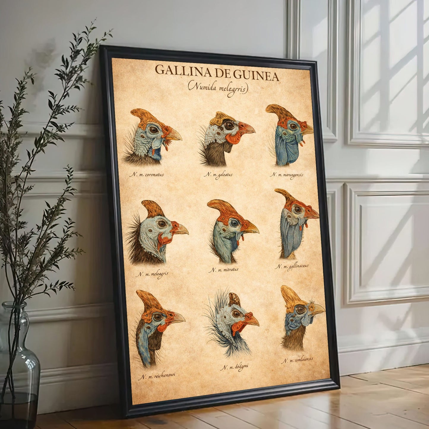 Types of Turkey Poster Wall Art