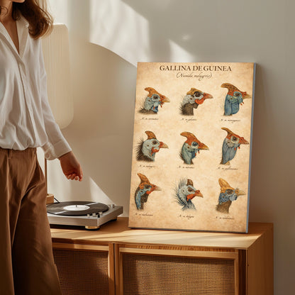 Types of Turkey Poster Wall Art