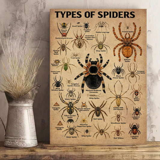 Types of Spiders Wall Art Vintage Spider Identification Chart Canvas
