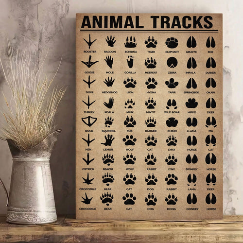 Animal Tracks Poster – Vintage Wildlife Footprints Chart