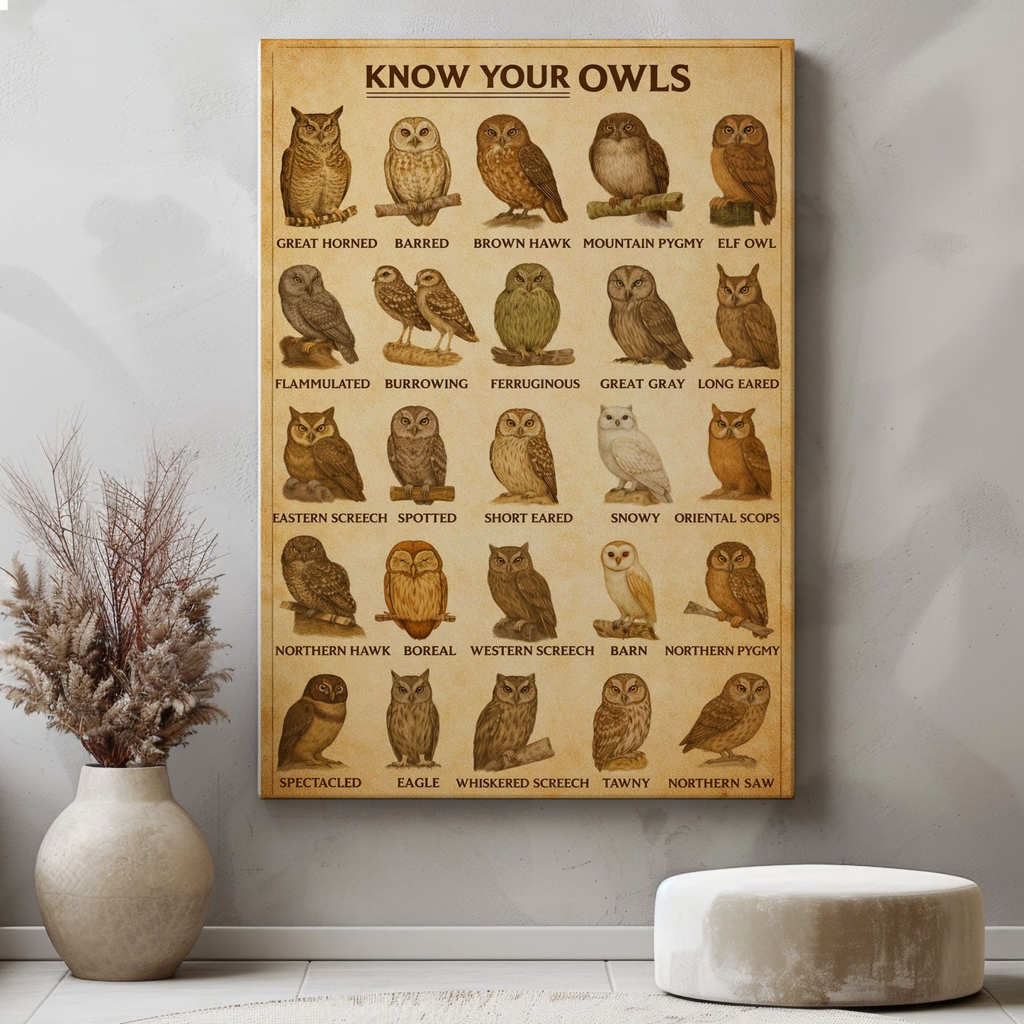 Know Your Owls Canvas Wall Art Owl Identification Chart Poster