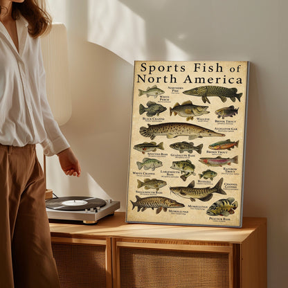 Sports Fish of North America Canvas Wall Art