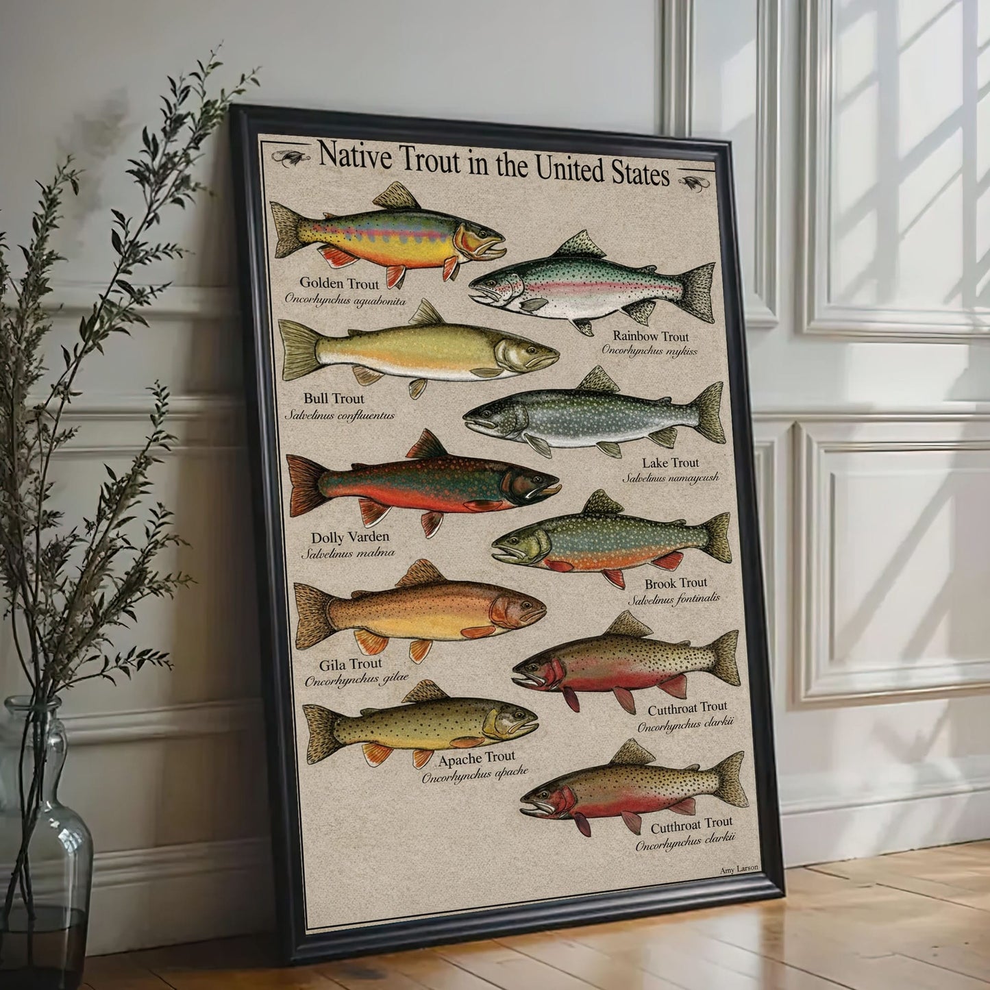 Native Trout in the United States Canvas Wall Art