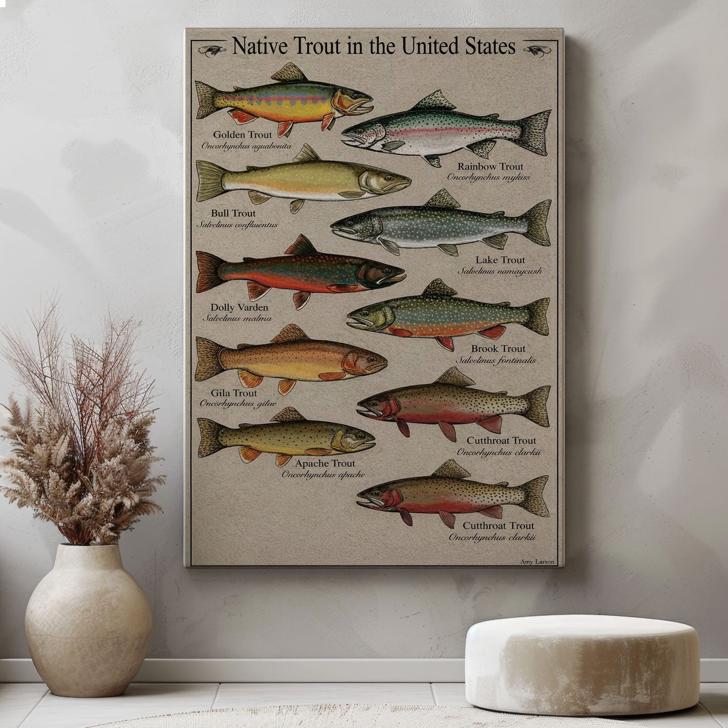 Native Trout in the United States Canvas Wall Art