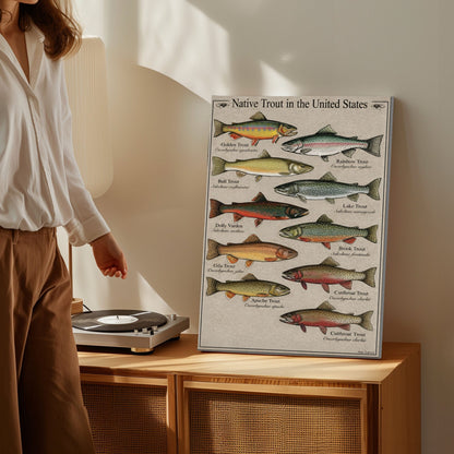 Native Trout in the United States Canvas Wall Art