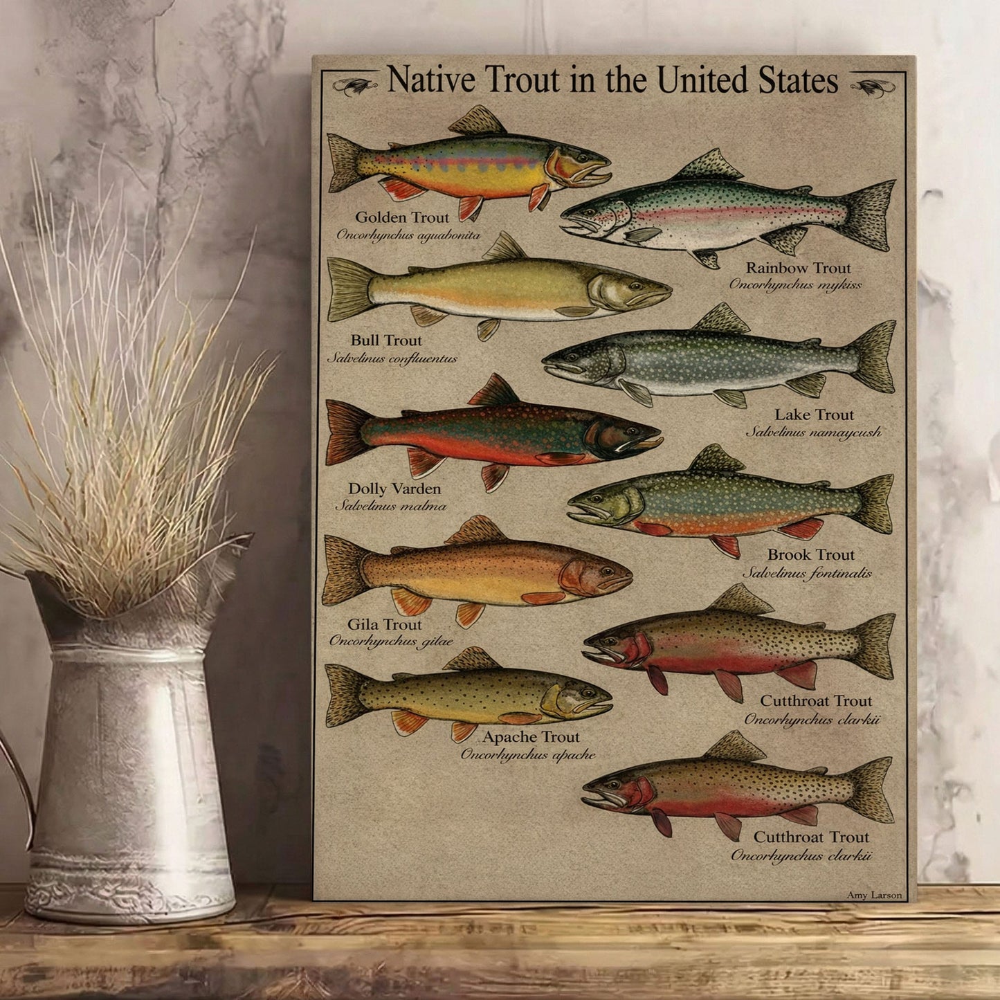 Native Trout in the United States Canvas Wall Art