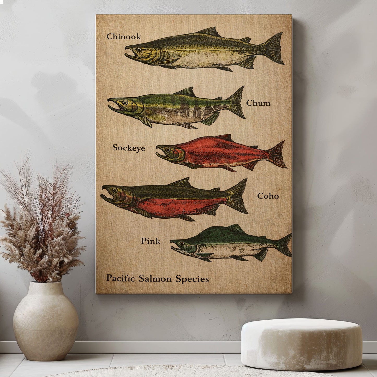 Pacific Salmon Species Canvas Wall Art