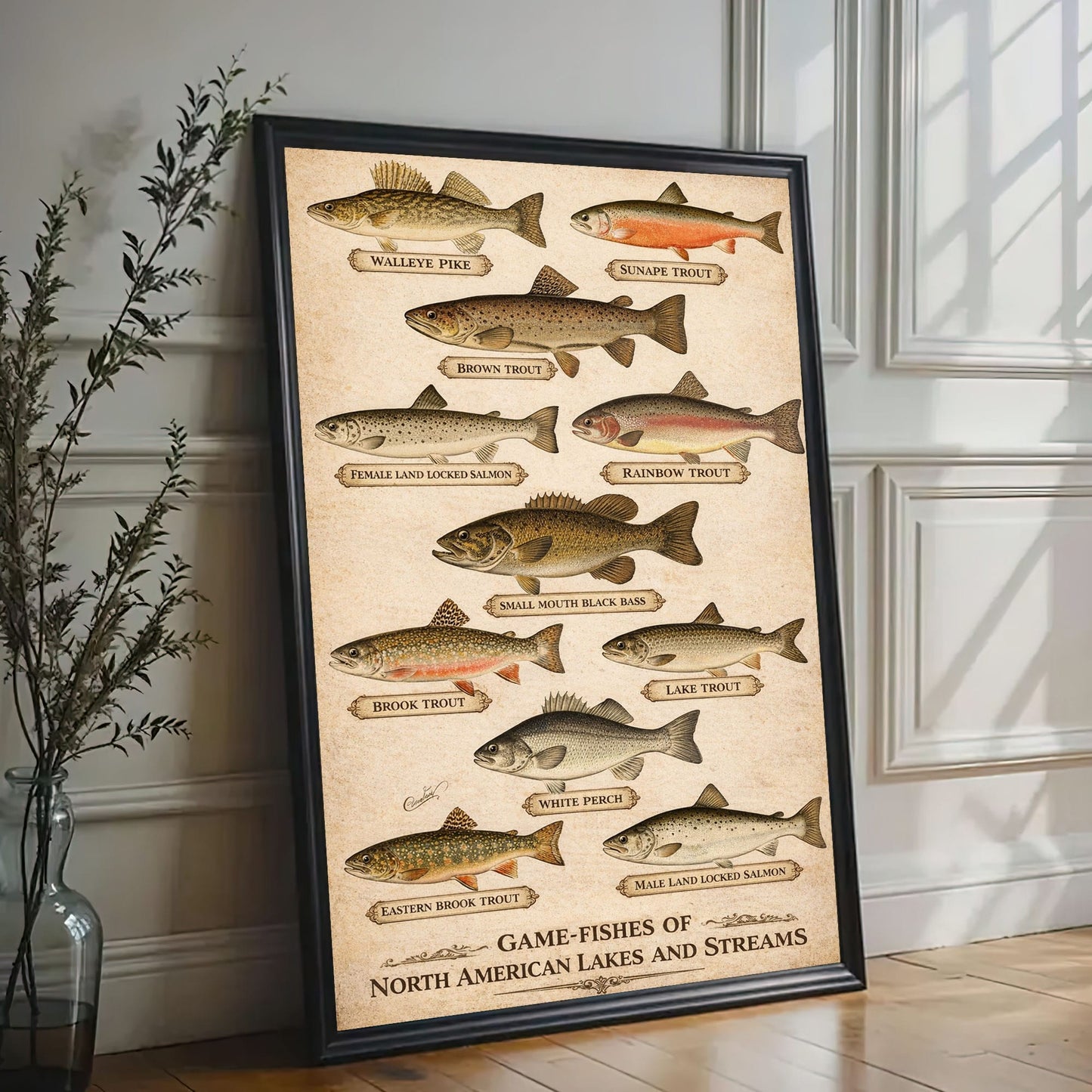 Fishing Cabin Wall Art Canvas Game Fish Identification Guide Vintage Print