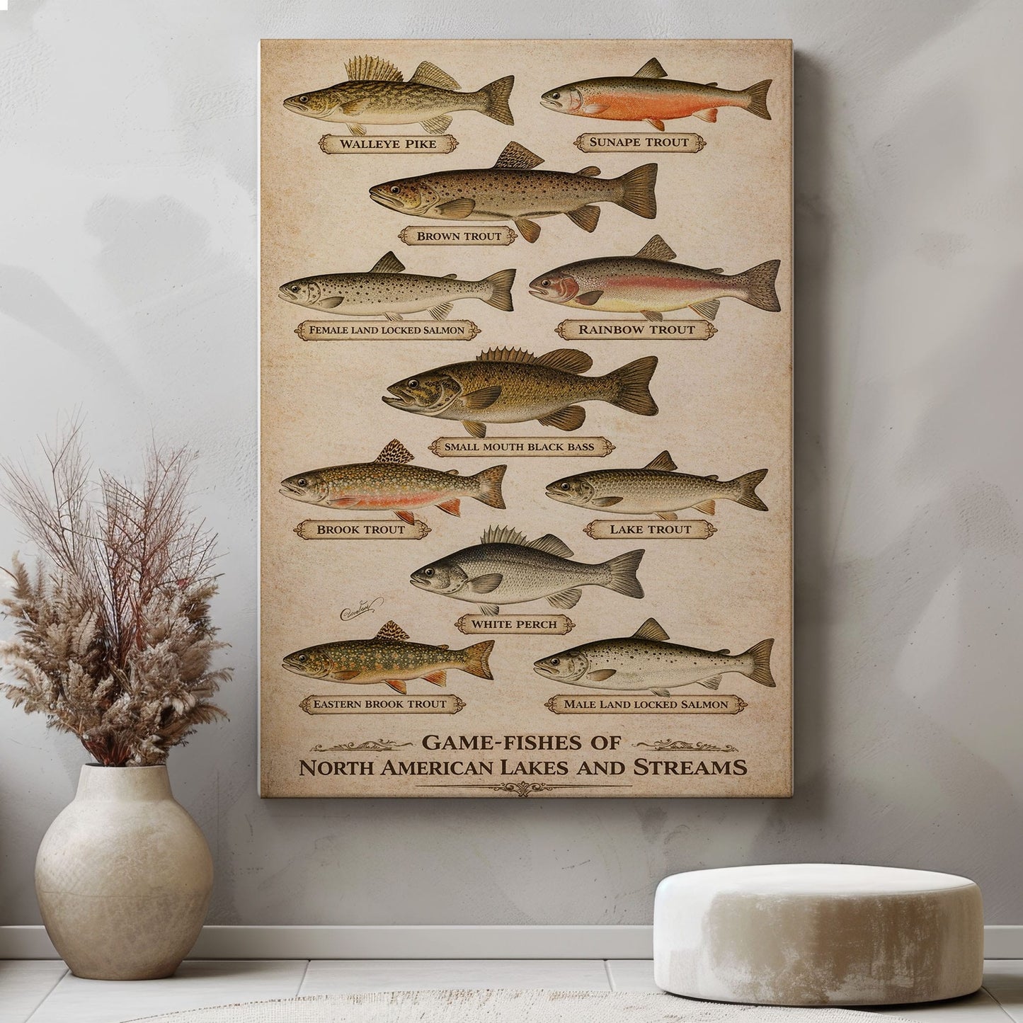 Fishing Cabin Wall Art Canvas Game Fish Identification Guide Vintage Print