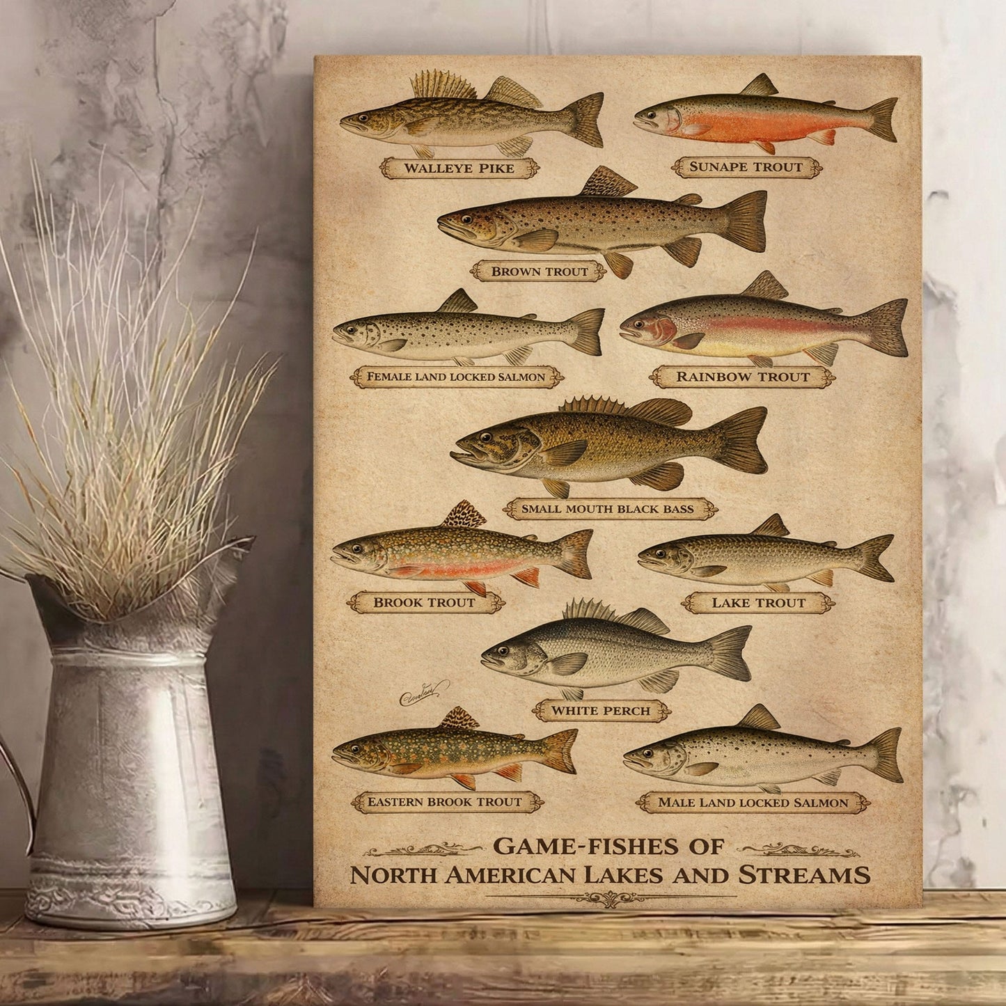 Fishing Cabin Wall Art Canvas Game Fish Identification Guide Vintage Print