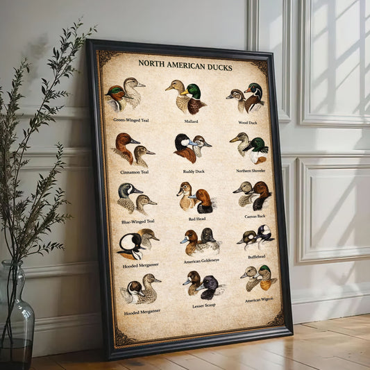 North American Ducks Chart Waterfowl Identification Canvas Wall Art Gift for Hunters