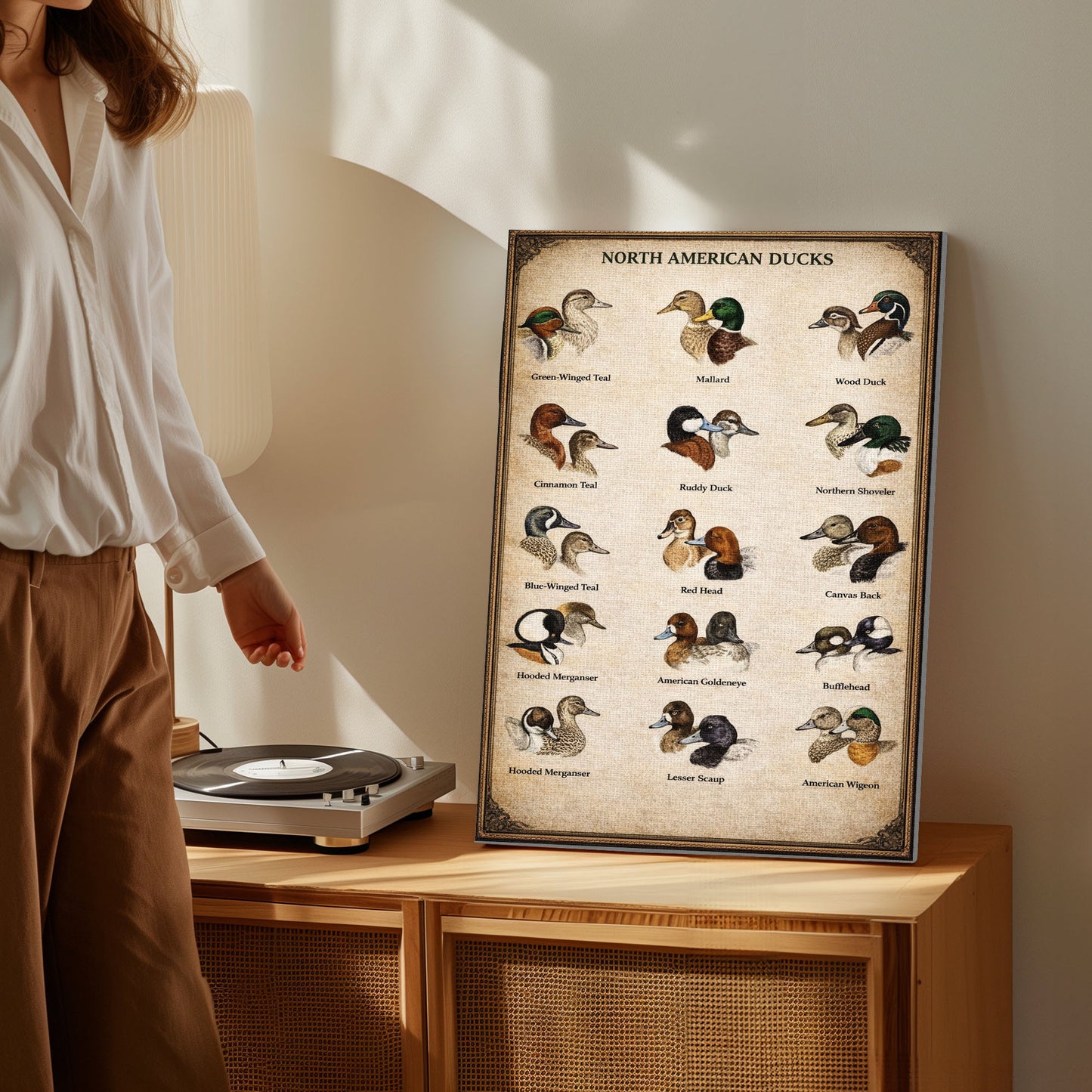 North American Ducks Chart Waterfowl Identification Canvas Wall Art Gift for Hunters