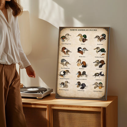 North American Ducks Chart Waterfowl Identification Canvas Wall Art Gift for Hunters