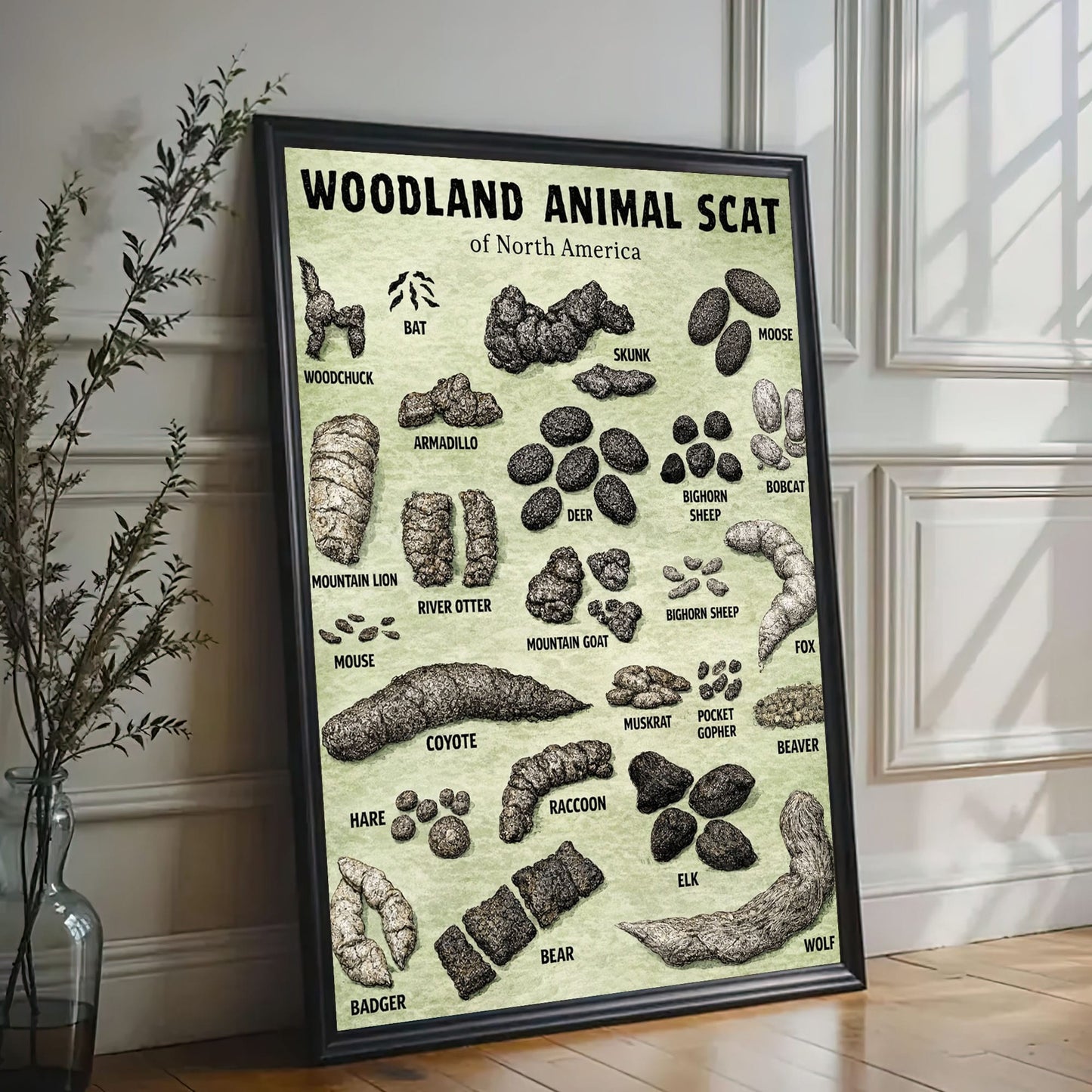 Animal scat print - Woodland animal droppings poster, Wilderness poop chart