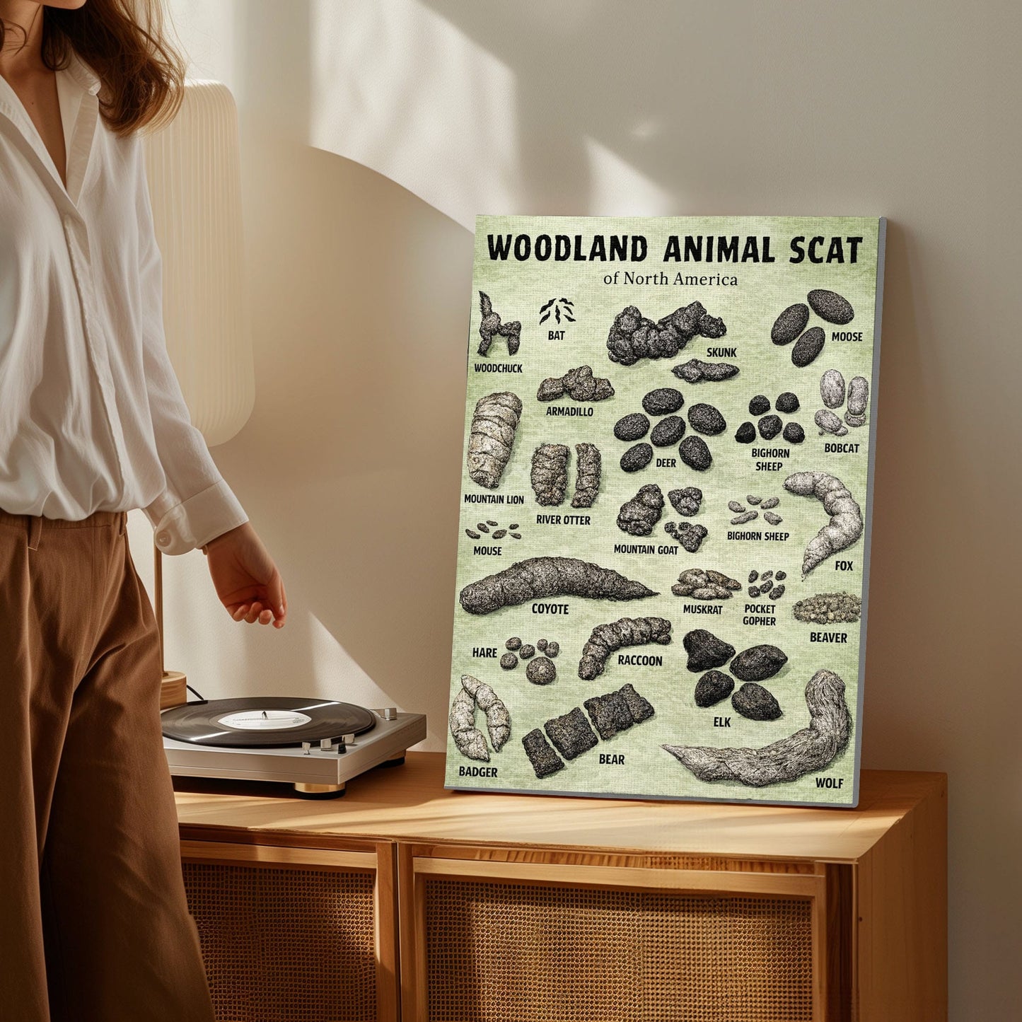 Animal scat print - Woodland animal droppings poster, Wilderness poop chart