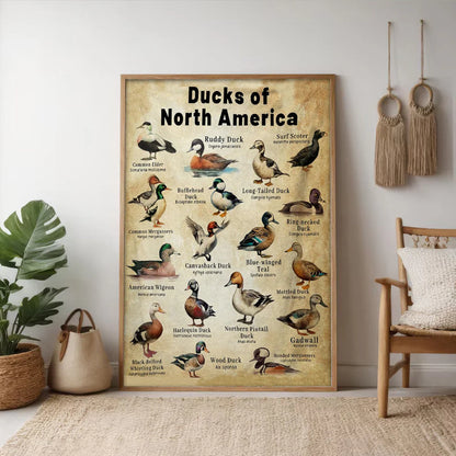 Waterfowl Species Duck Wall Art Gift for Men