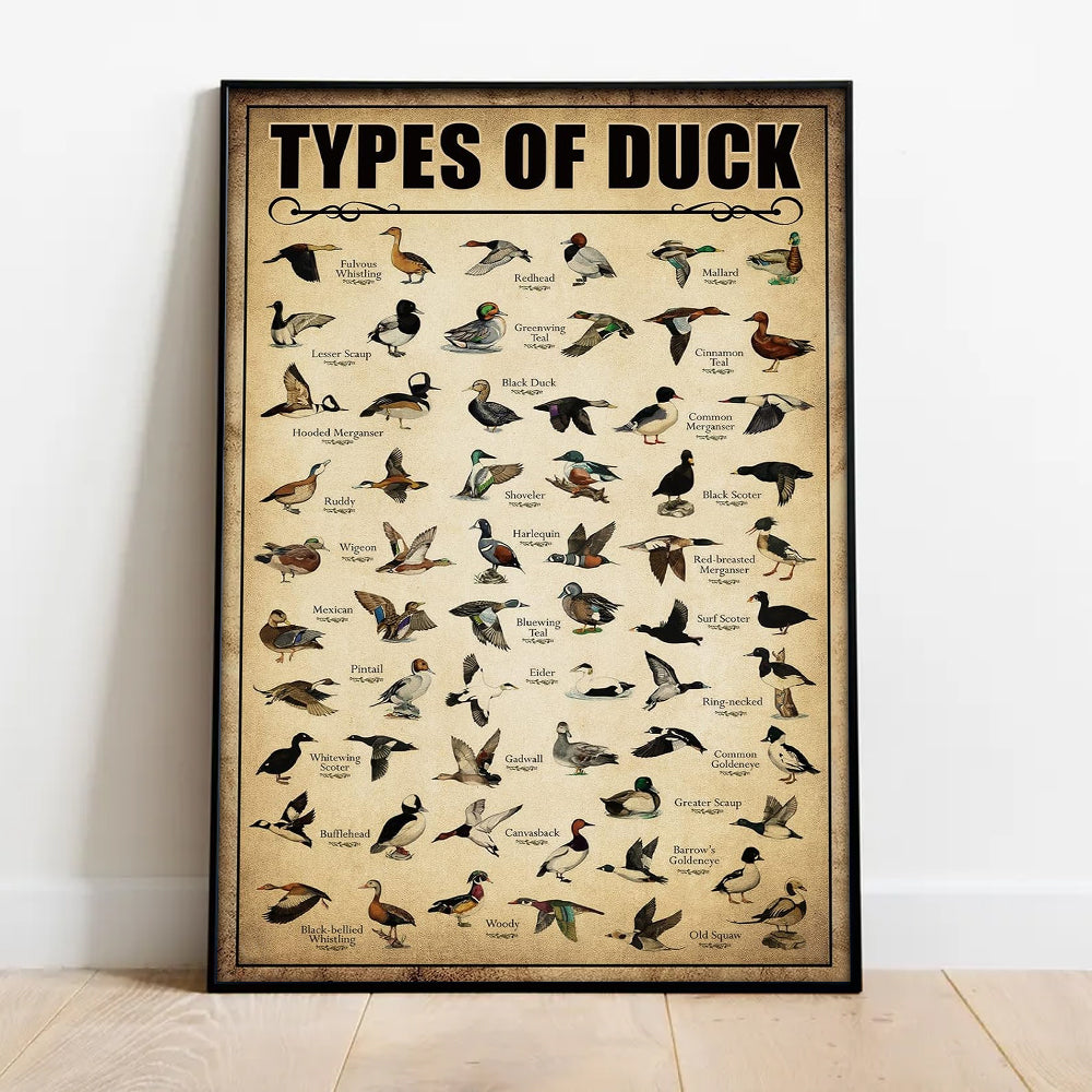 Types of Duck Poster Canvas - Comprehensive Guide for Duck Hunters Featuring 30+ Duck Species