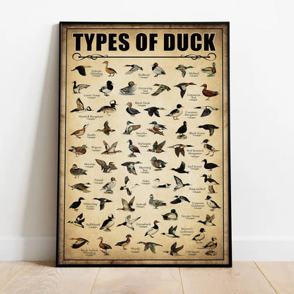 Types of Duck Poster Canvas - Comprehensive Guide for Duck Hunters Featuring 30+ Duck Species