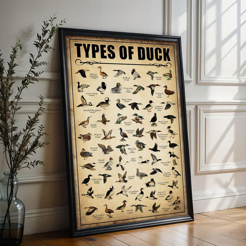 Types of Duck Poster Canvas - Comprehensive Guide for Duck Hunters Featuring 30+ Duck Species