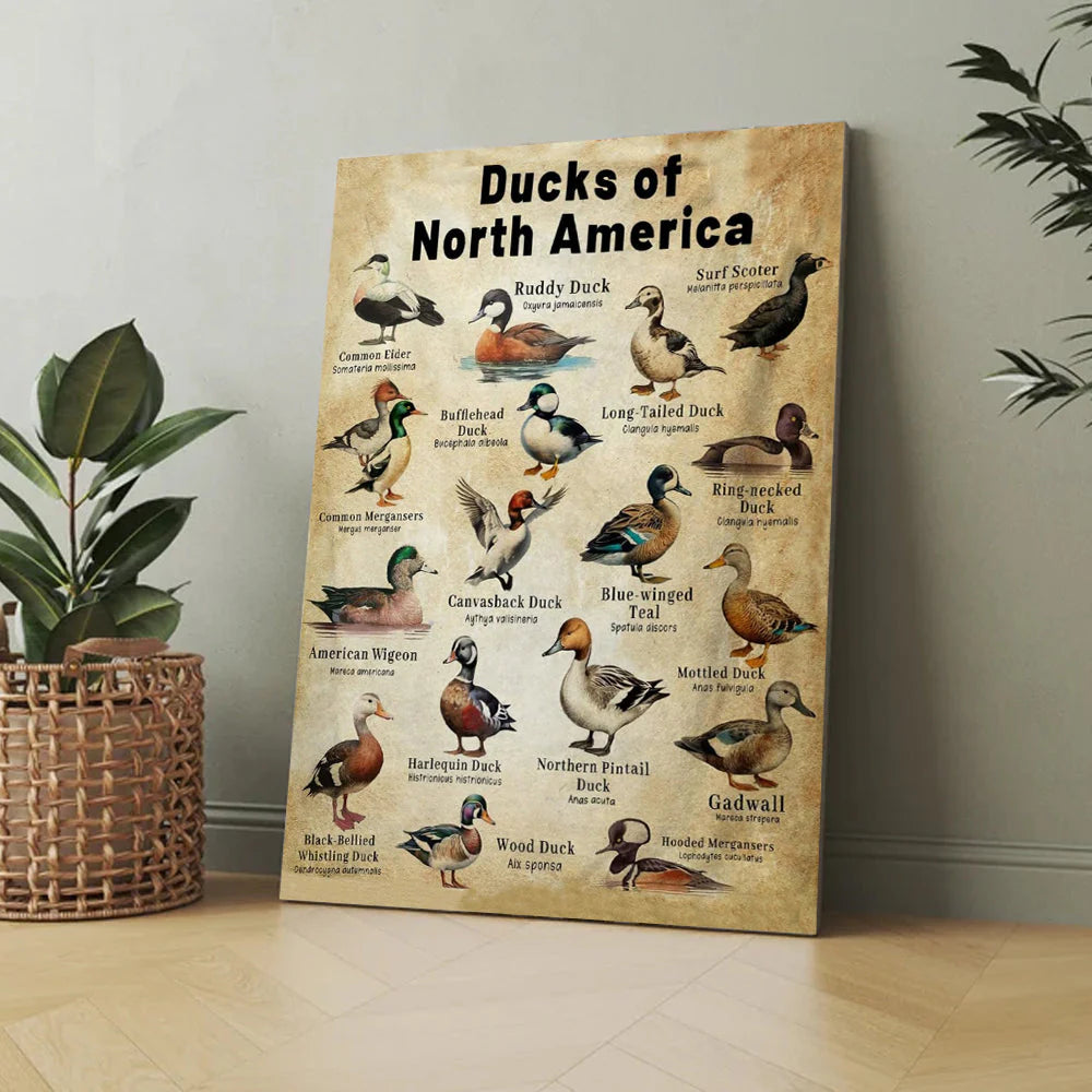 Waterfowl Species Duck Wall Art Gift for Men