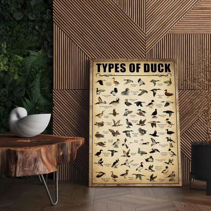 Types of Duck Poster Canvas - Comprehensive Guide for Duck Hunters Featuring 30+ Duck Species