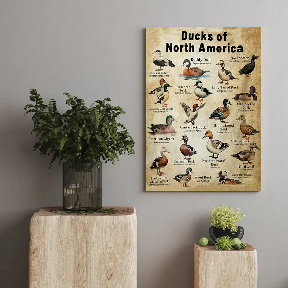 Waterfowl Species Duck Wall Art Gift for Men