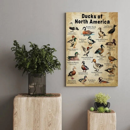 Waterfowl Species Duck Wall Art Gift for Men