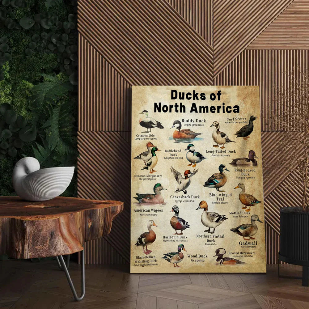 Waterfowl Species Duck Wall Art Gift for Men