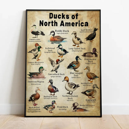 Waterfowl Species Duck Wall Art Gift for Men