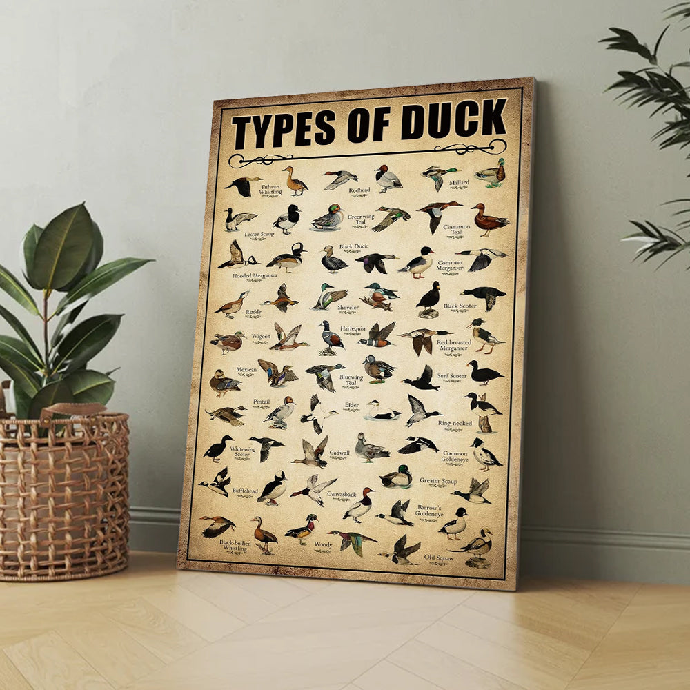 Types of Duck Poster Canvas - Comprehensive Guide for Duck Hunters Featuring 30+ Duck Species