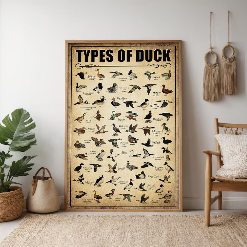 Types of Duck Poster Canvas - Comprehensive Guide for Duck Hunters Featuring 30+ Duck Species